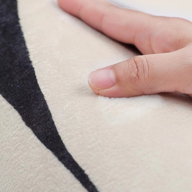 Colorful Imitation Mink Velvet Rug Decorative - Image 3